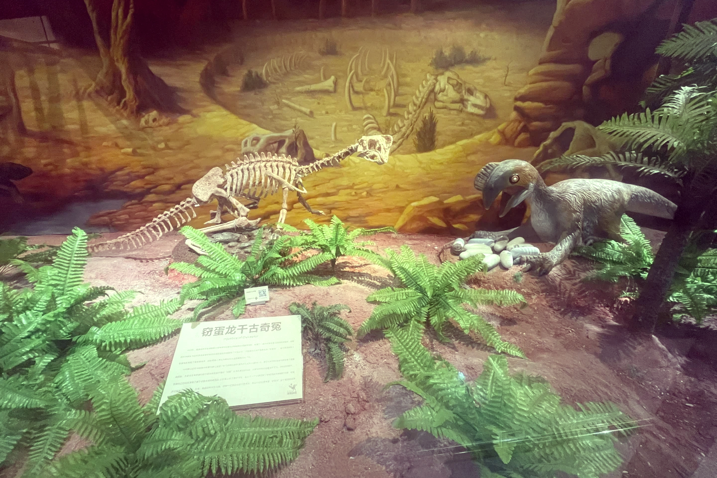Dinosaur Egg Museum of the Chinese Museum of Ancient Animals